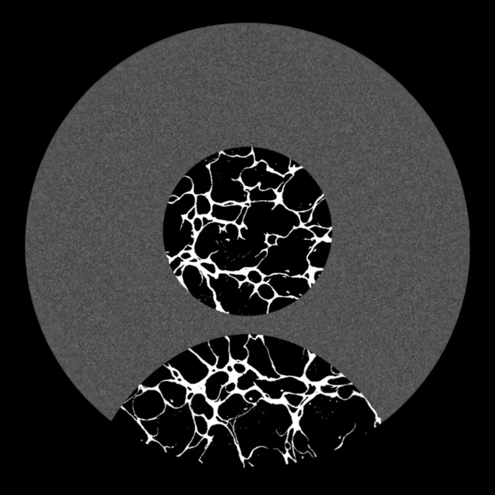 15289437026
